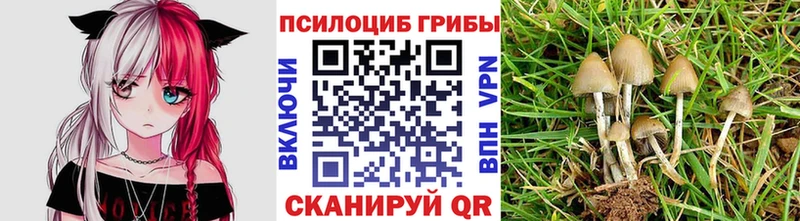 Галлюциногенные грибы Cubensis  Благодарный 